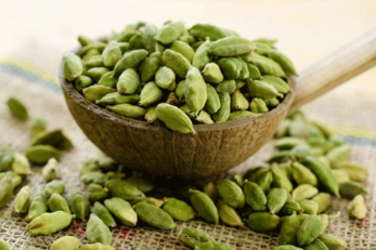 Cardamom